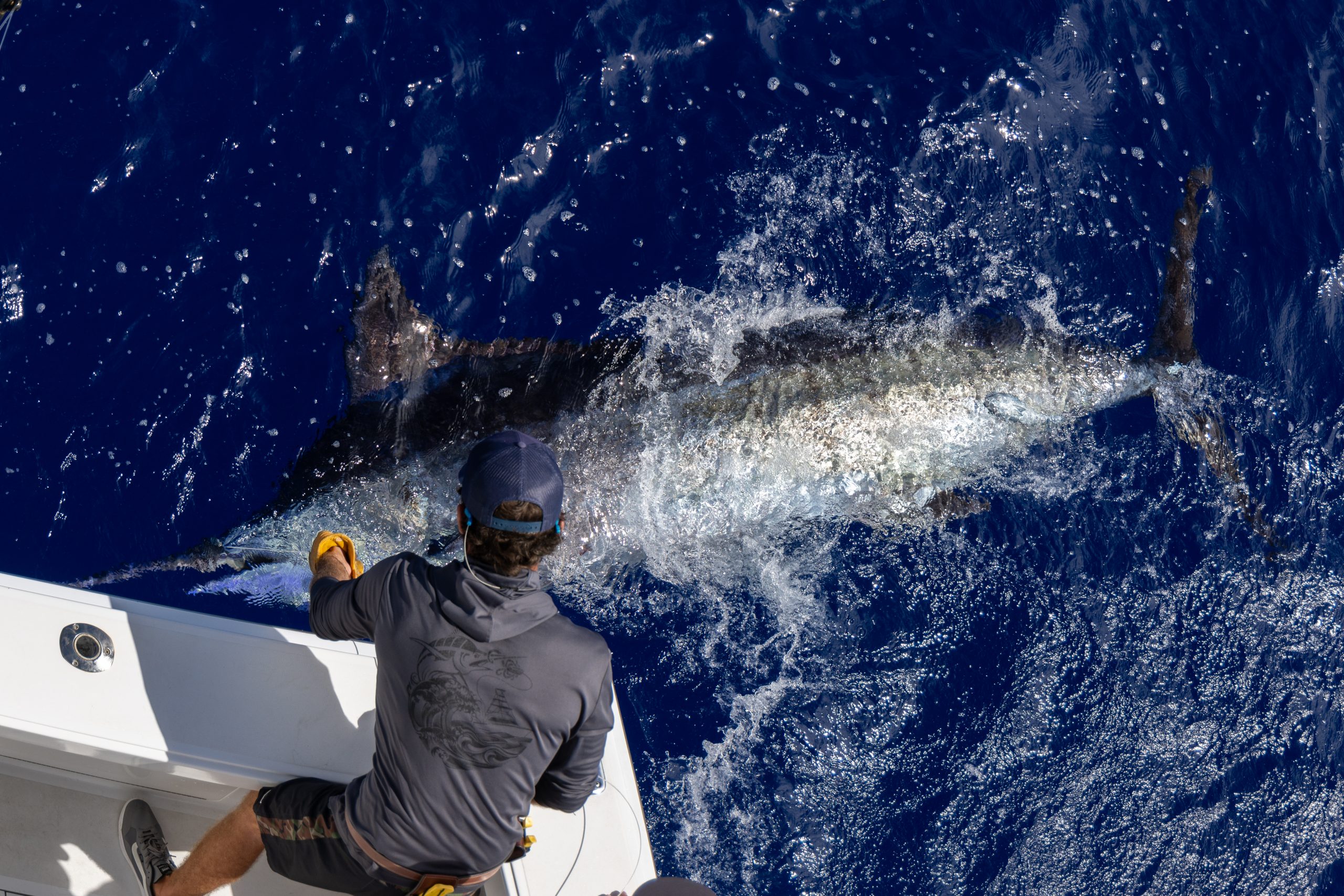kona hawaii fishing charters
