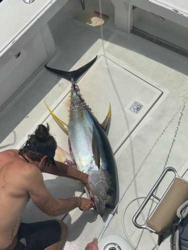 67391215105__3D3DB3B0-3E50-4055-BBC9-31D3DA683CD9